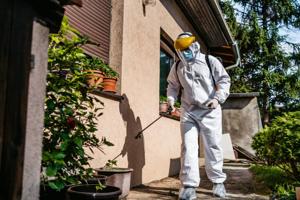 Best Pest Prevention Services  in Mcsherrystown, PA
