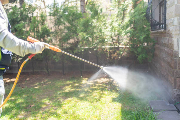 Best Ant Control Services  in Mcsherrystown, PA