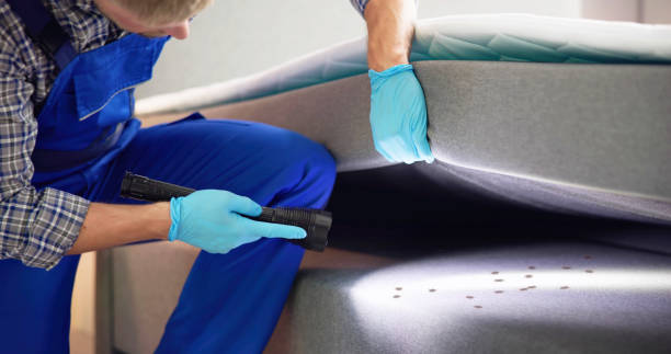 Best Local Pest Control Services  in Mcsherrystown, PA