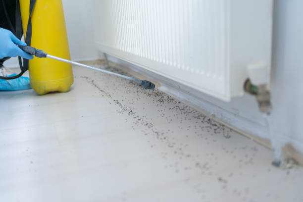 Best Termite Control Services  in Mcsherrystown, PA