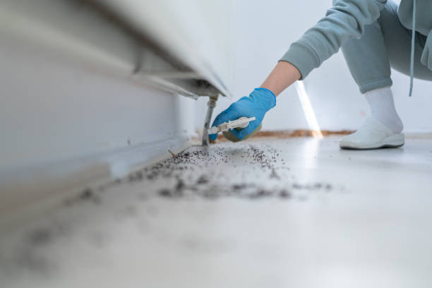 Best Pest Removal Services  in Mcsherrystown, PA